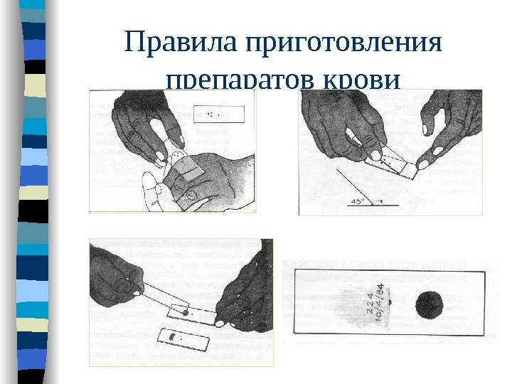 Правила приготовления препаратов крови 